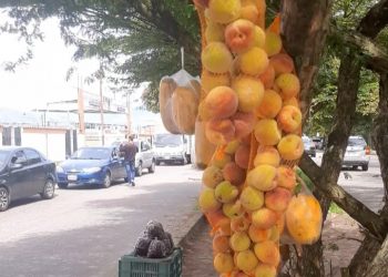 Vuelven los vendedores de frutas a los semáforos de San Cristóbal