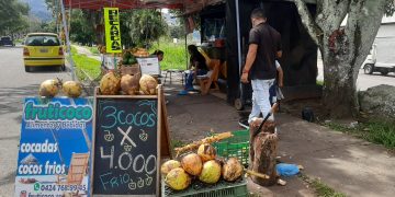 Proliferan ventas de agua coco en San Cristóbal con el paso de la pandemia