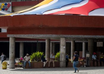 CNE: ¿un ente electoral más plural?