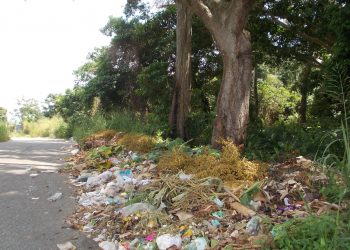 Panamericana | Calles de Betijoque convertidas en depósitos de basura