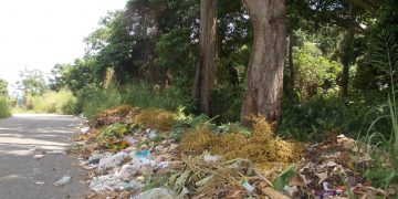 Panamericana | Calles de Betijoque convertidas en depósitos de basura