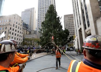 Llega a Nueva York árbol del Rockefeller Center que marca inicio de Navidad