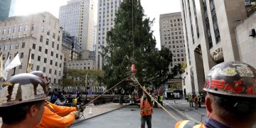 Llega a Nueva York árbol del Rockefeller Center que marca inicio de Navidad