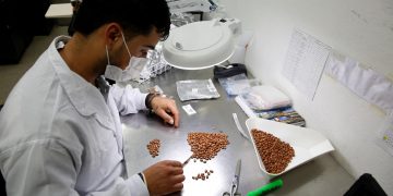 Colombia custodia las semillas que aseguran la seguridad alimentaria de todos