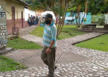 Elecciones regionales: 14 tipos de irregularidades documentó el ODH-ULA en la región andina