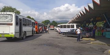 Rutas urbanas y suburbanas operan con normalidad en el Terminal de Valera