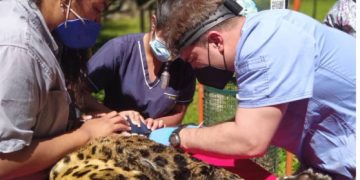 Animales del Zoológico de Mérida reciben atención adecuada