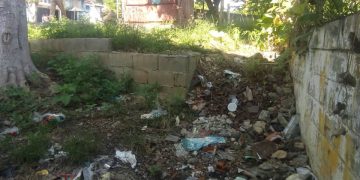 En Bella Vista la vista no es tan «bella»