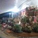 Bendecido el Pesebre del Santuario de Isnotú