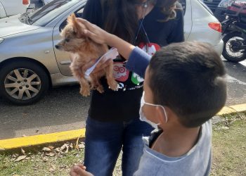 Aplav reporta alto índice de extravíos de animales en San Cristóbal por causa del sonido de la pólvora