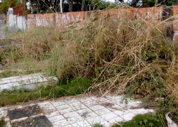 Betijoqueños recibirán el Año Nuevo con el cementerio y el terminal de pasajeros enmontados