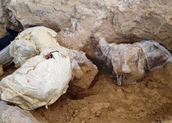 Encuentran restos de un mamut de hace más de 10.000 años en centro de México