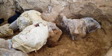 Encuentran restos de un mamut de hace más de 10.000 años en centro de México