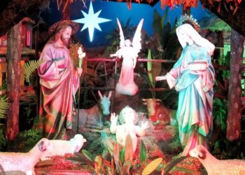 NAVIDAD, TIEMPO PARA CULTIVAR EL CARIÑO |  Por: Antonio Pérez Esclarín