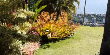 En la contaminación ambiental lo que no se ve suele ser más importante que lo que se ve