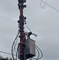 Por robó de transformadores en El Vigía detienen a dueño de constructora Camino Real