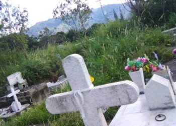 Cementerio de Carvajal se encuentra lleno de basura y de maleza