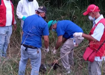 MP designa fiscal para imputar responsables de envenenamiento de perros en Las Lomas