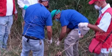 MP designa fiscal para imputar responsables de envenenamiento de perros en Las Lomas