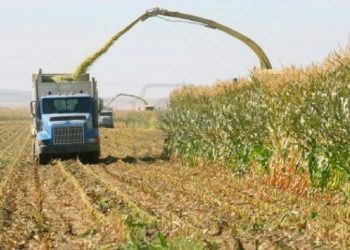 Sector privado produce un milagro agrícola en el país, afirma Sociedad de Ingenieros Agrónomos