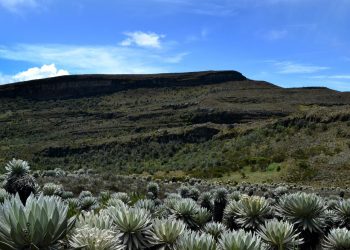 Un documental ecuatoriano destaca la importancia de los páramos para la vida