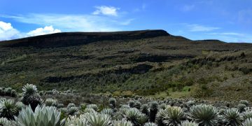 Un documental ecuatoriano destaca la importancia de los páramos para la vida