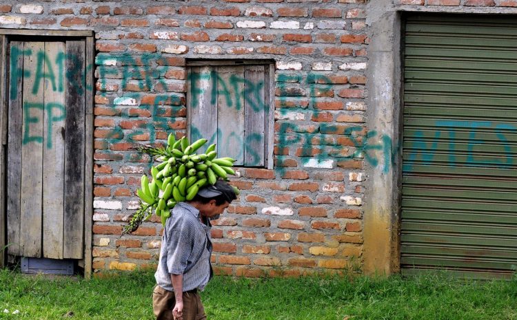 Imagen de archivo de un grafiti alusivo a las Fuerzas Armadas Revolucionarias de Colombia (FARC), escrito sobre la pared de una vivienda en zona rural. EFE/CARLOS ORTEGA