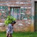 Fuertes combates entre las FARC y el ELN en Arauca, zona fronteriza con Venezuela