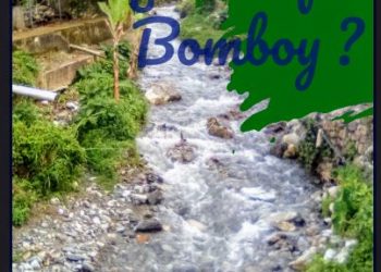 ¿Por qué Bomboy? | Por: Oswaldo Manrique
