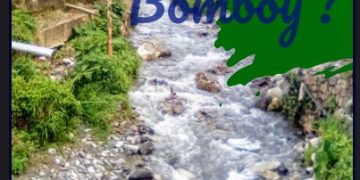 ¿Por qué Bomboy? | Por: Oswaldo Manrique