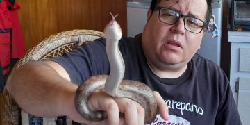 Fundación Equilibrium Terra educa sobre las serpientes y busca crear un banco de suero antiofídico en Táchira