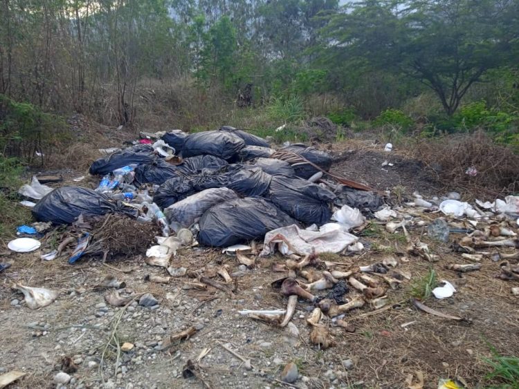 Avenida Bicentenario de Valera convertida en relleno sanitario