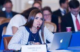 El hijo de Maduro tiene vía libre en España para querellarse contra Tamara Sujú