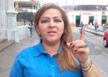 Iraly Guerrero: El Gobierno saldrá con votos
