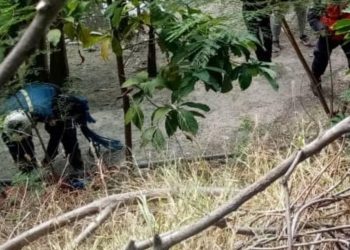 Tres suicidios ocurrieron en los primeros días del 2022 en el estado Mérida
