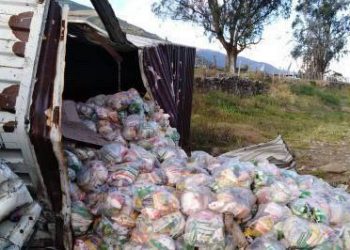 Habitantes del Páramo merideño cuidaron mercancía de camión accidentado