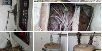 Núcleo Alberto Adriani de la ULA: Sin nada más para que le roben