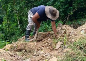 Alcaldía y comunidad trabajan para reforestar el sector La Roca de Zea