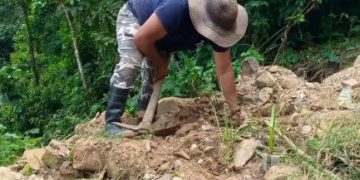 Alcaldía y comunidad trabajan para reforestar el sector La Roca de Zea
