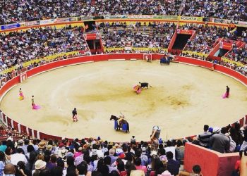 Sectores económicos merideños apoyan la LI Feria del Sol