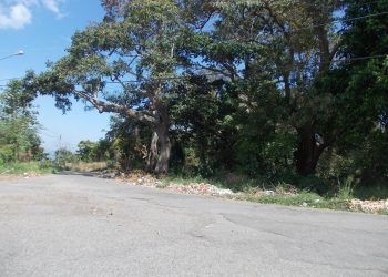 Vendida gasolina a vehículos con terminales de placa nueve y cero