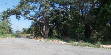 Vendida gasolina a vehículos con terminales de placa nueve y cero