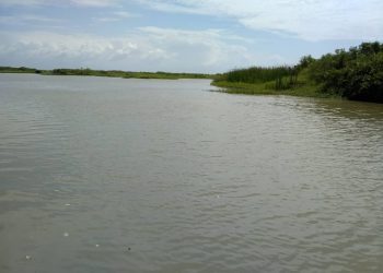 Aguas del río Motatán inundan parcelas antes de desembocar en el lago de Maracaibo