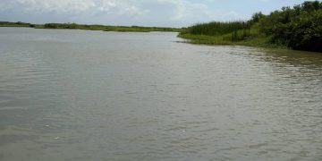 Aguas del río Motatán inundan parcelas antes de desembocar en el lago de Maracaibo