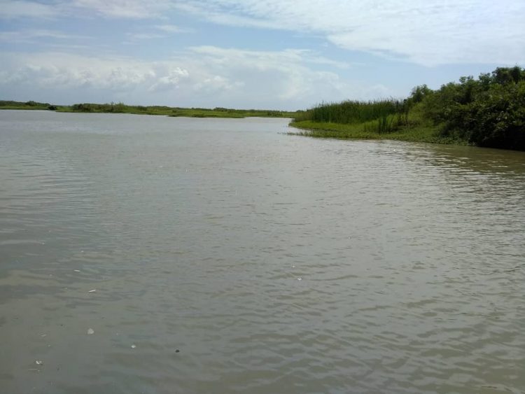 Desembocadura del Motatán en el Lago de Maracaibo.
