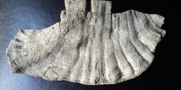 El peto sagrado de las Siete Lagunas | Por: Oswaldo Manrique R.