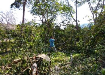 Alexander Mendoza: En Boconó trabajaremos para mejorar las condiciones ambientales