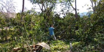 Alexander Mendoza: En Boconó trabajaremos para mejorar las condiciones ambientales