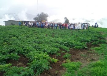 Feria de Hortalizas pro construcción del Santuario Menor Dr. JGH de Boconó