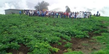 Feria de Hortalizas pro construcción del Santuario Menor Dr. JGH de Boconó